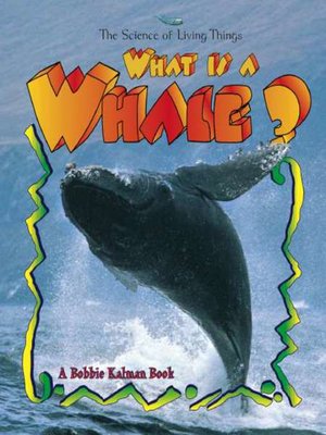 cover image of What is a Whale?